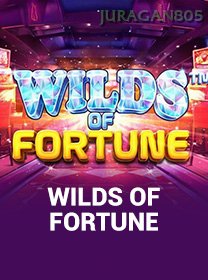 Wilds Of Fortune game cover