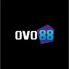 ovo88 Versi Terbaru: Apa yang Baru?